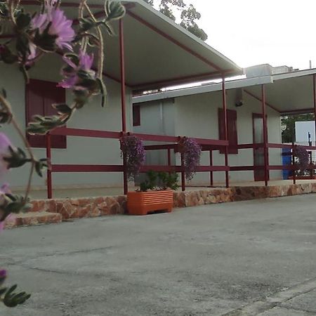 Villaggio Albergo Cervo Zapponeta Esterno foto