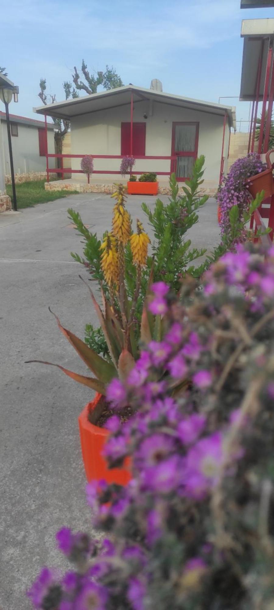 Villaggio Albergo Cervo Zapponeta Esterno foto