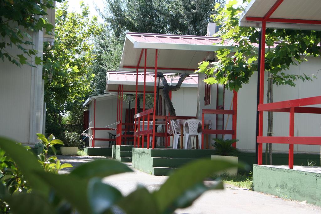 Villaggio Albergo Cervo Zapponeta Esterno foto