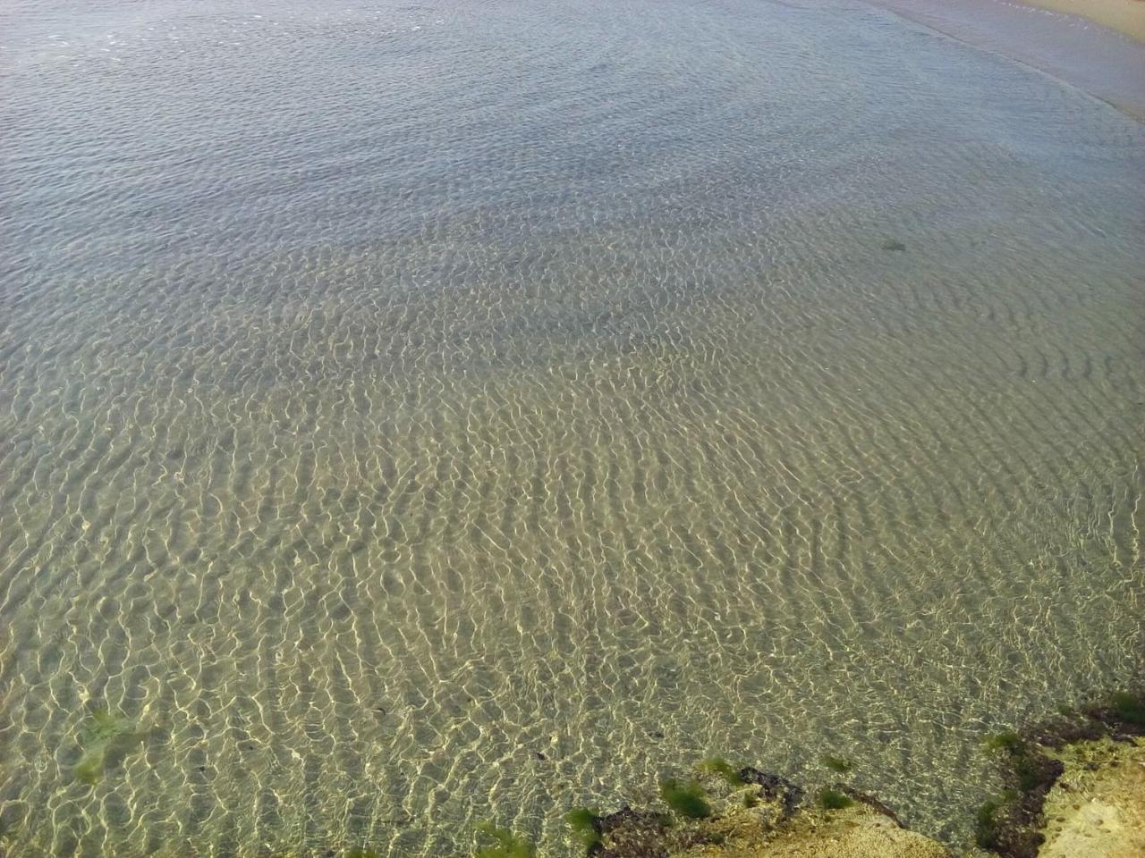 Villaggio Albergo Cervo Zapponeta Esterno foto